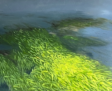 Rive sauvage 50X40